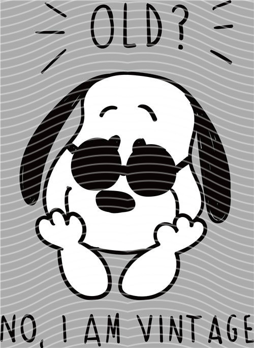 Snoopy- 348